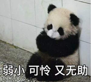 觉得好用可以支持一下春春哦~帮春分享一下即可！~-春日ACG