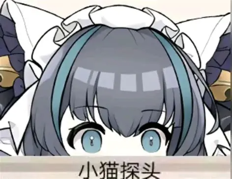 此内容必看，以及使用教程给大家新增了直装盘-春日ACG