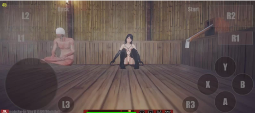 【ACT/动态/3D/格斗】painRe:in painRein Ver0.089 安卓-春日ACG