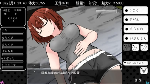 【触摸SLG/互动/动态/骨科/养成】与青春期妹妹的ERO30天 安卓joi+PC-春日ACG