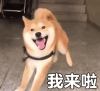 先更这些 我休假了 预计日更啦-春日ACG